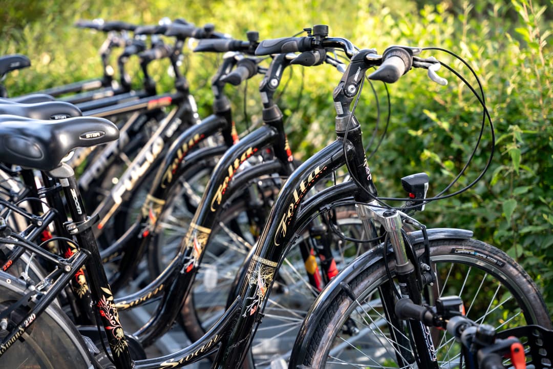 Wypożyczalnia rowerów i leśne trasy rowerowe 2,5h od Warszawy