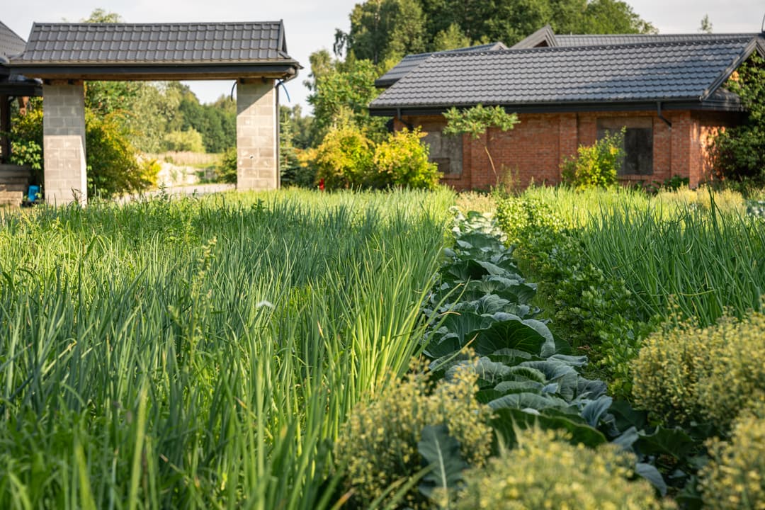 Ekologiczny ogród warzywny przy hotelu JK Dwór - świeże składniki i slow food
